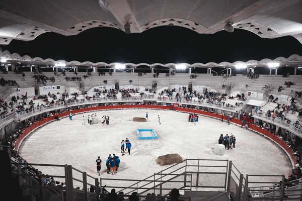 Freins de vélo : FAQ