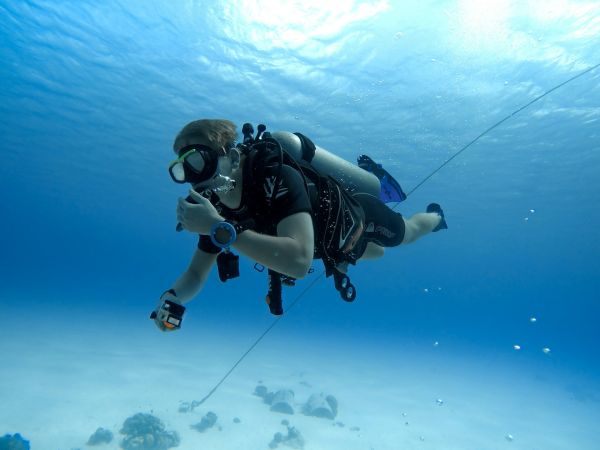 Expériences incroyables de la plongée sous-marine de nuit